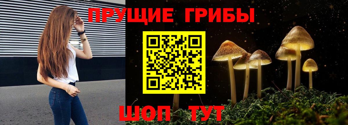 Псилоцибиновые грибы GOLDEN TEACHER  Вход с VPN  Урюпинск 