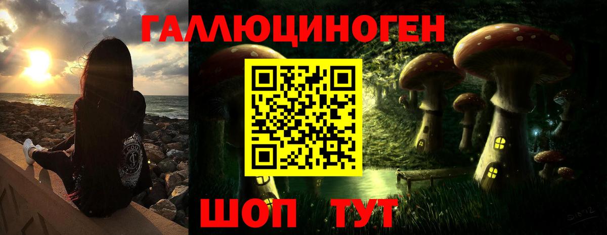 Галлюциногенные грибы Psilocybine cubensis Урюпинск
